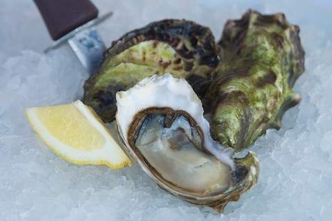 miyagi oyster